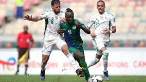 向社媒口碑 向社媒口碑